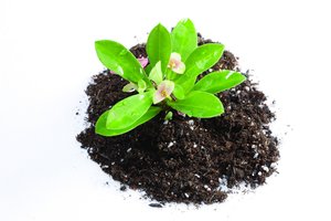 技术全方位解析